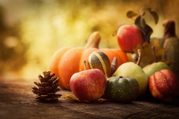 Fun Activities for Preschoolers Using Apples & Pumpkins