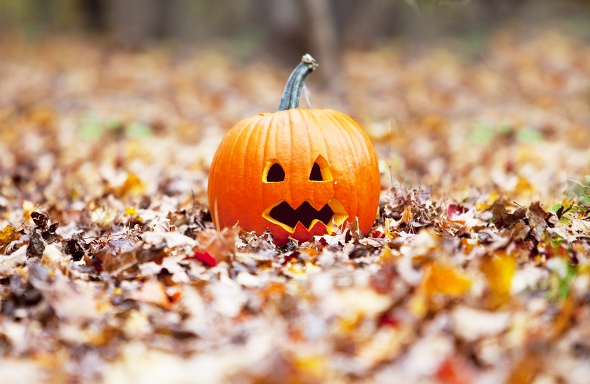 Five Fun Facts about Halloween