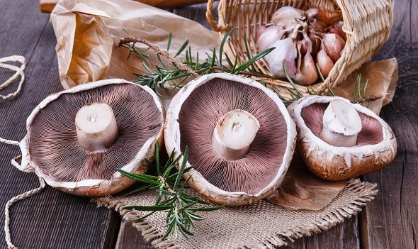 Portobello mushrooms over rustic wooden background